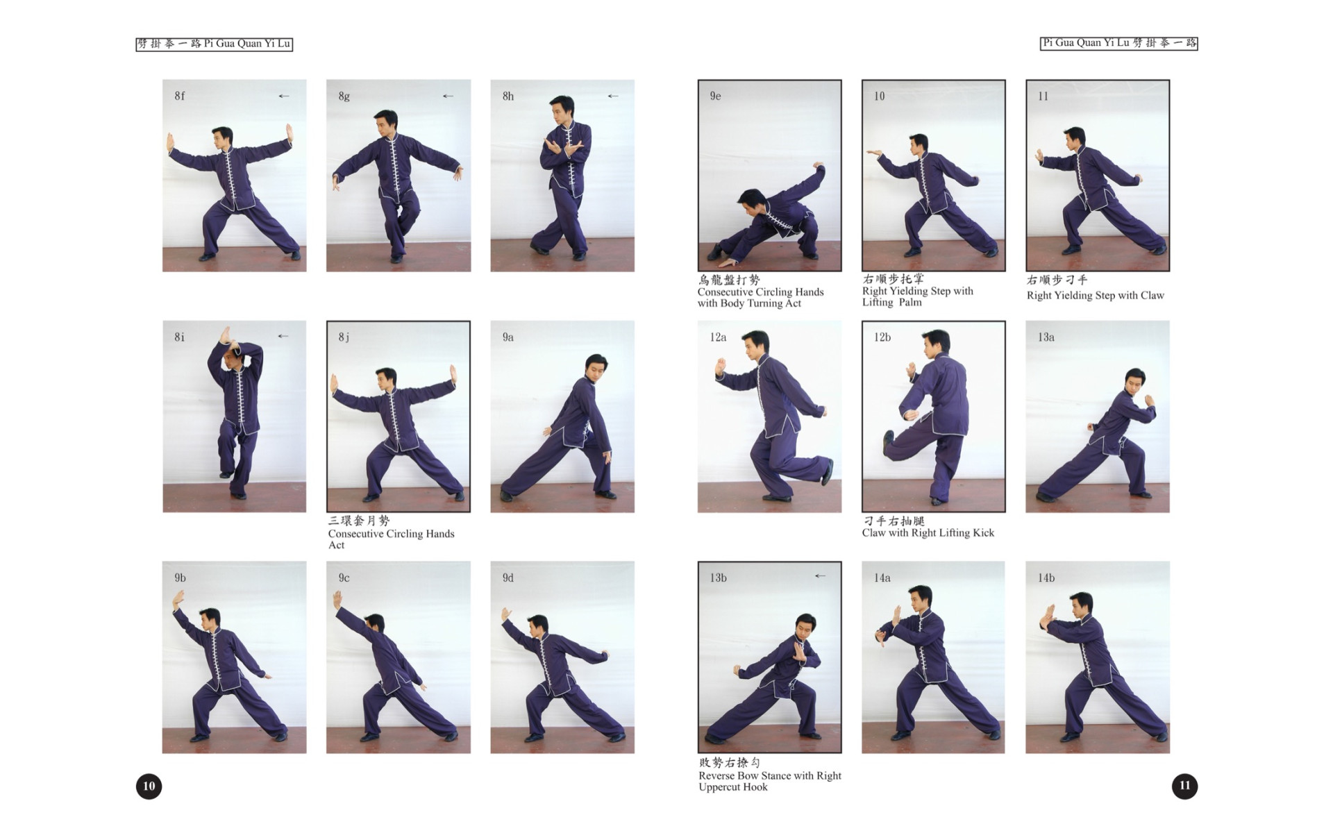 Chinwoo Shaolin Piguaman